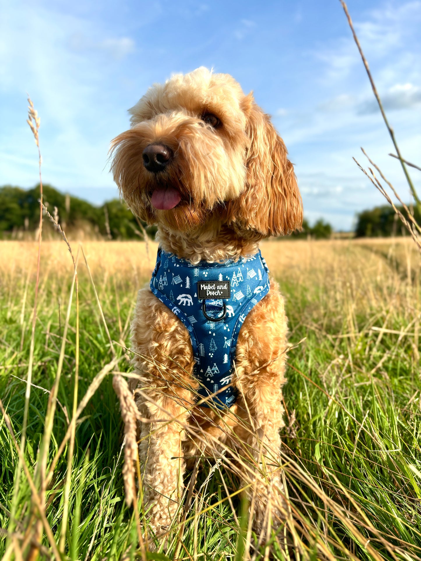 'Pickle's Adventures' Adjustable Harness