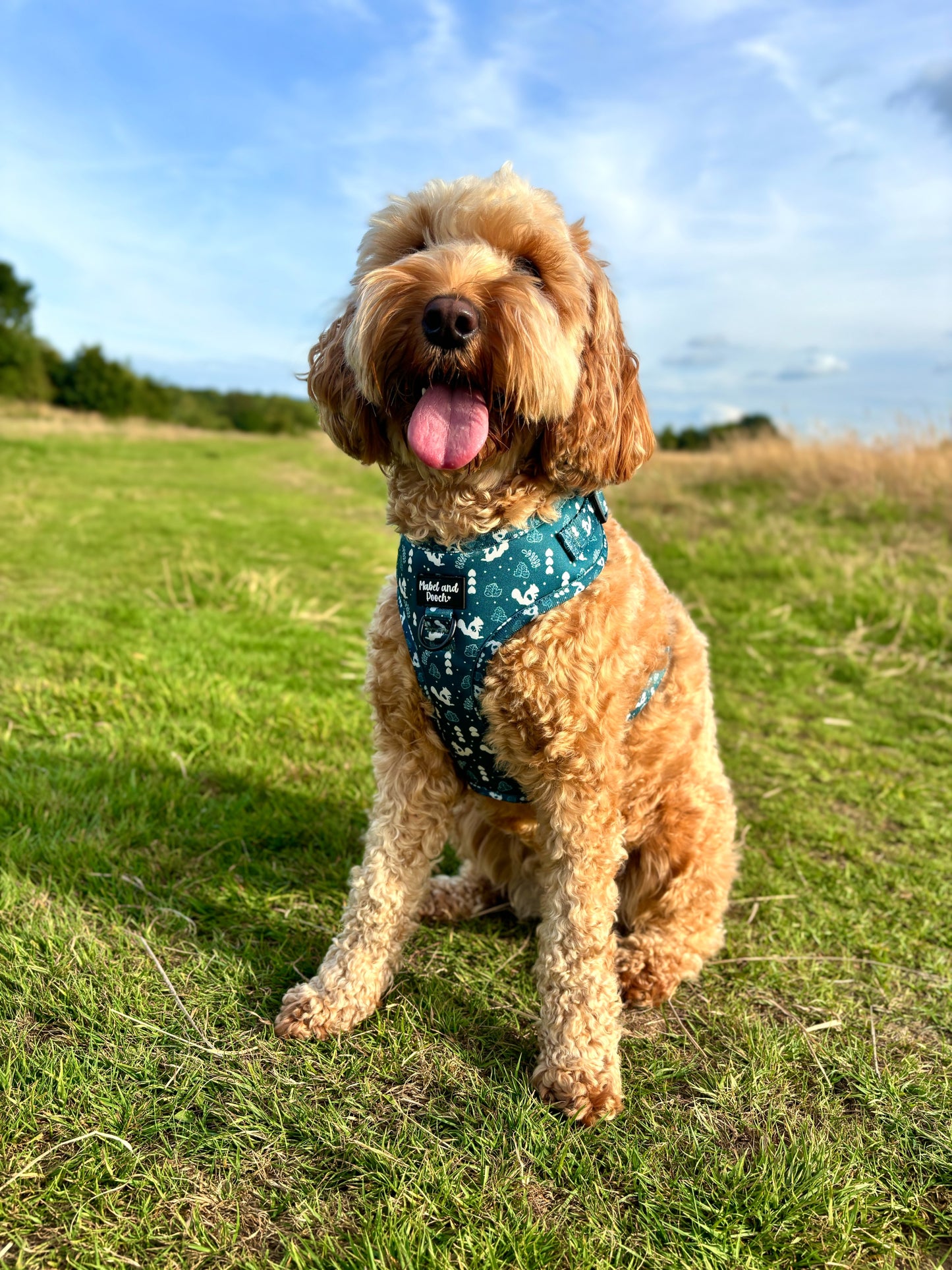 'Forest Trails' Adjustable Harness