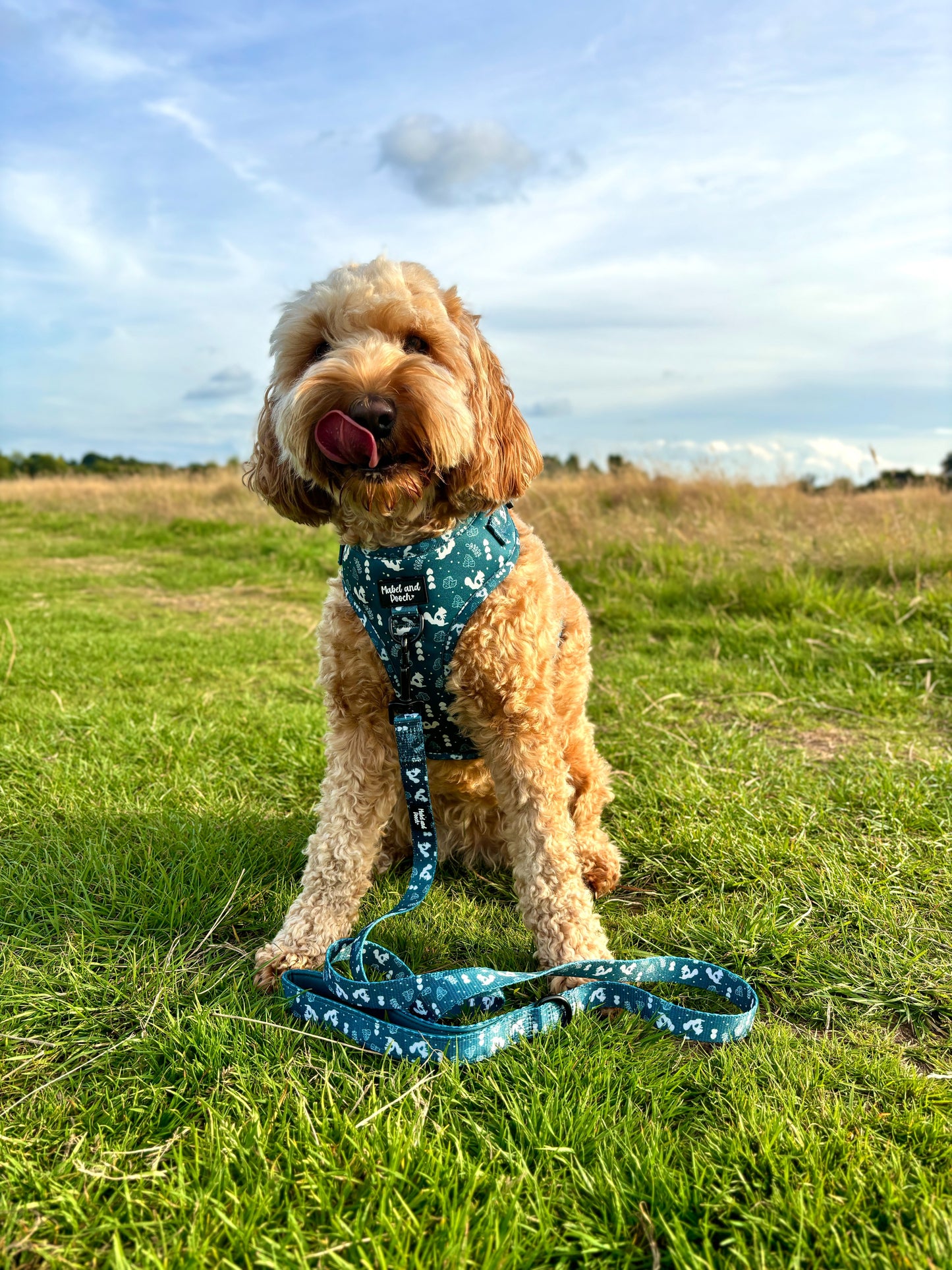 'Forest Trails' Adjustable Harness