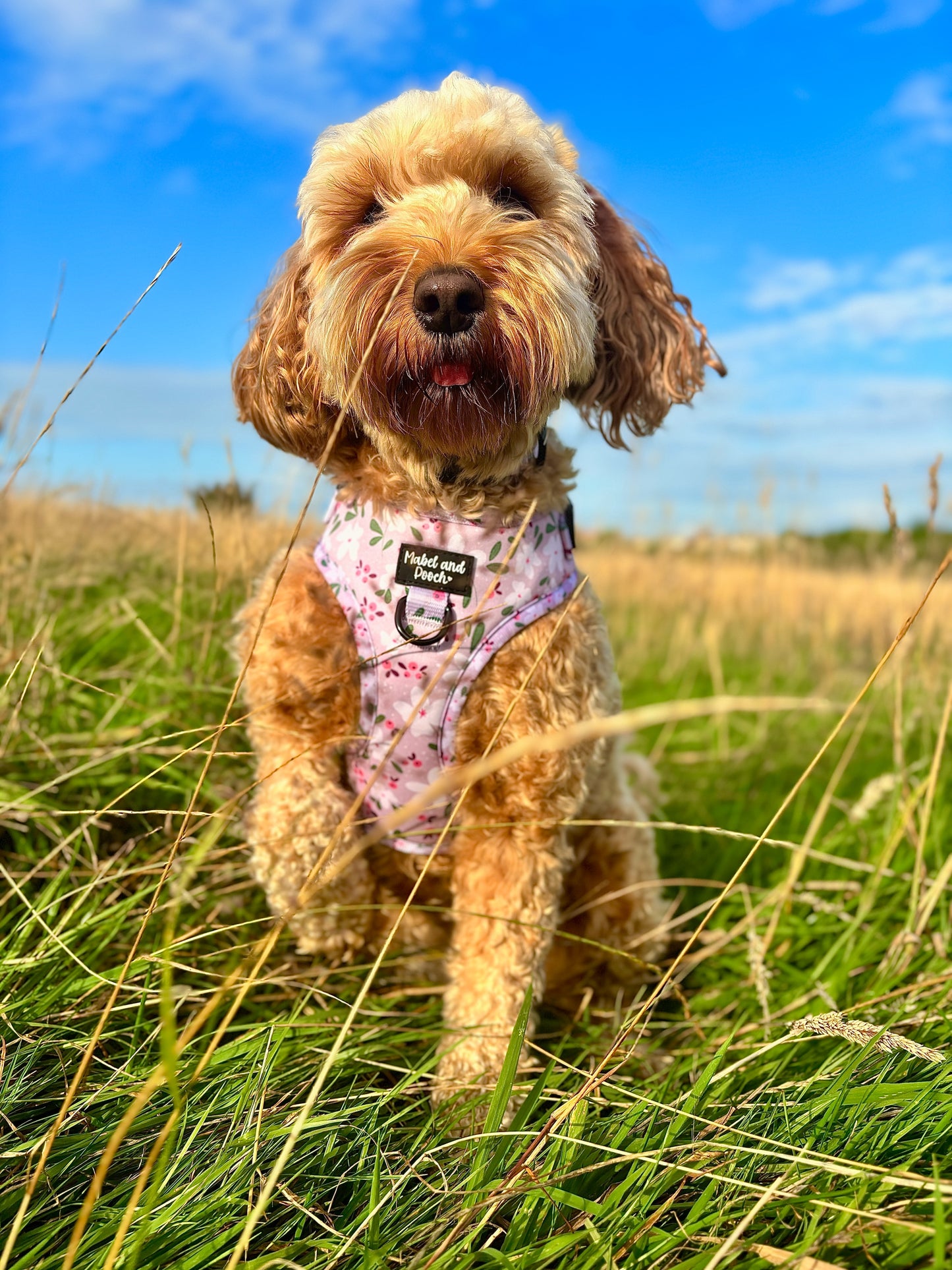 'Mabel's Meadow' Adjustable Harness