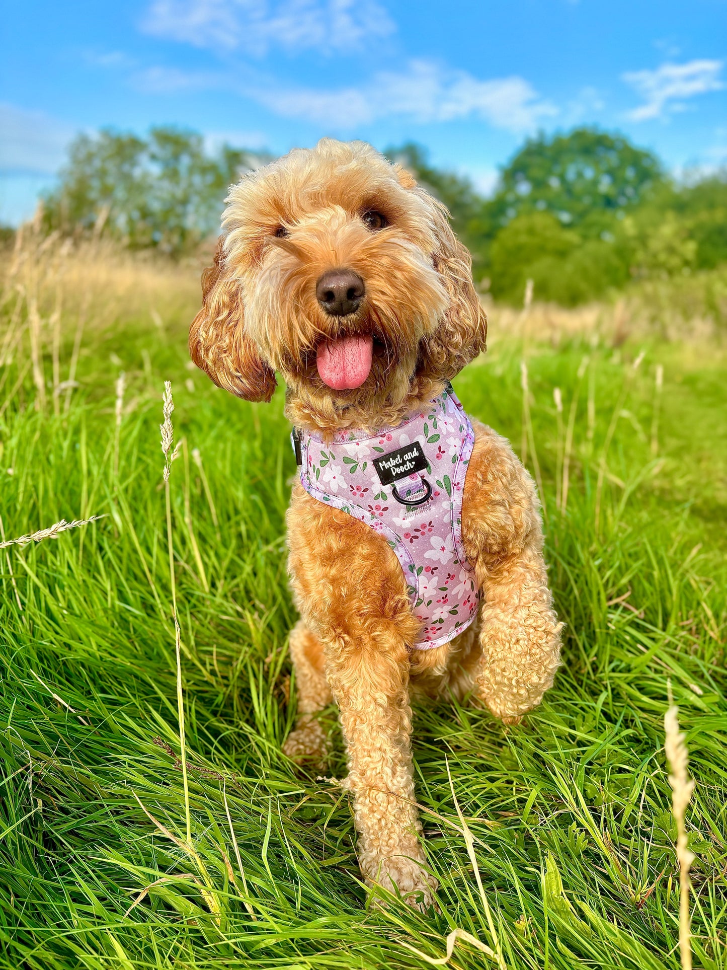 'Mabel's Meadow' Adjustable Harness