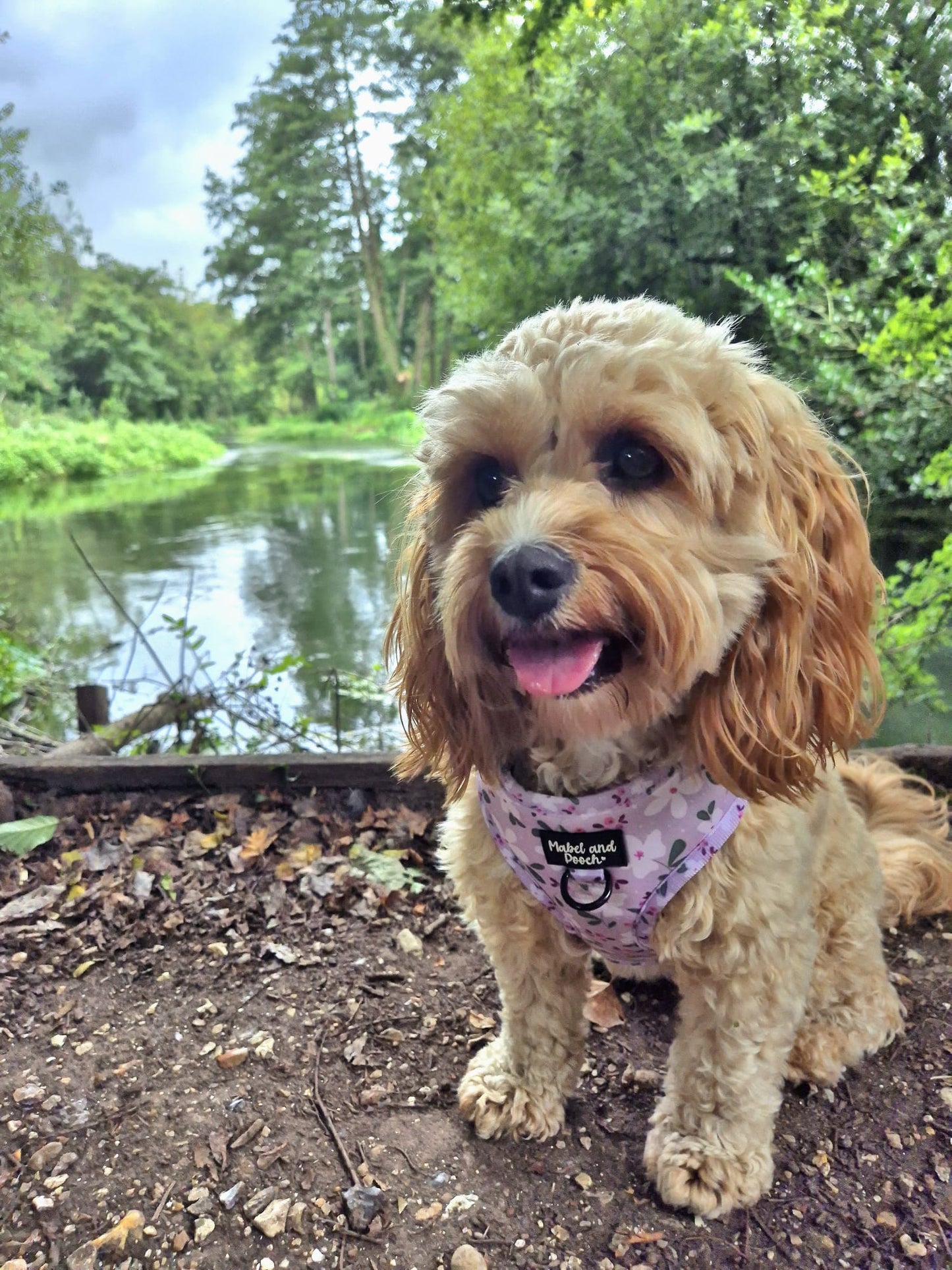 'Mabel's Meadow' Adjustable Harness