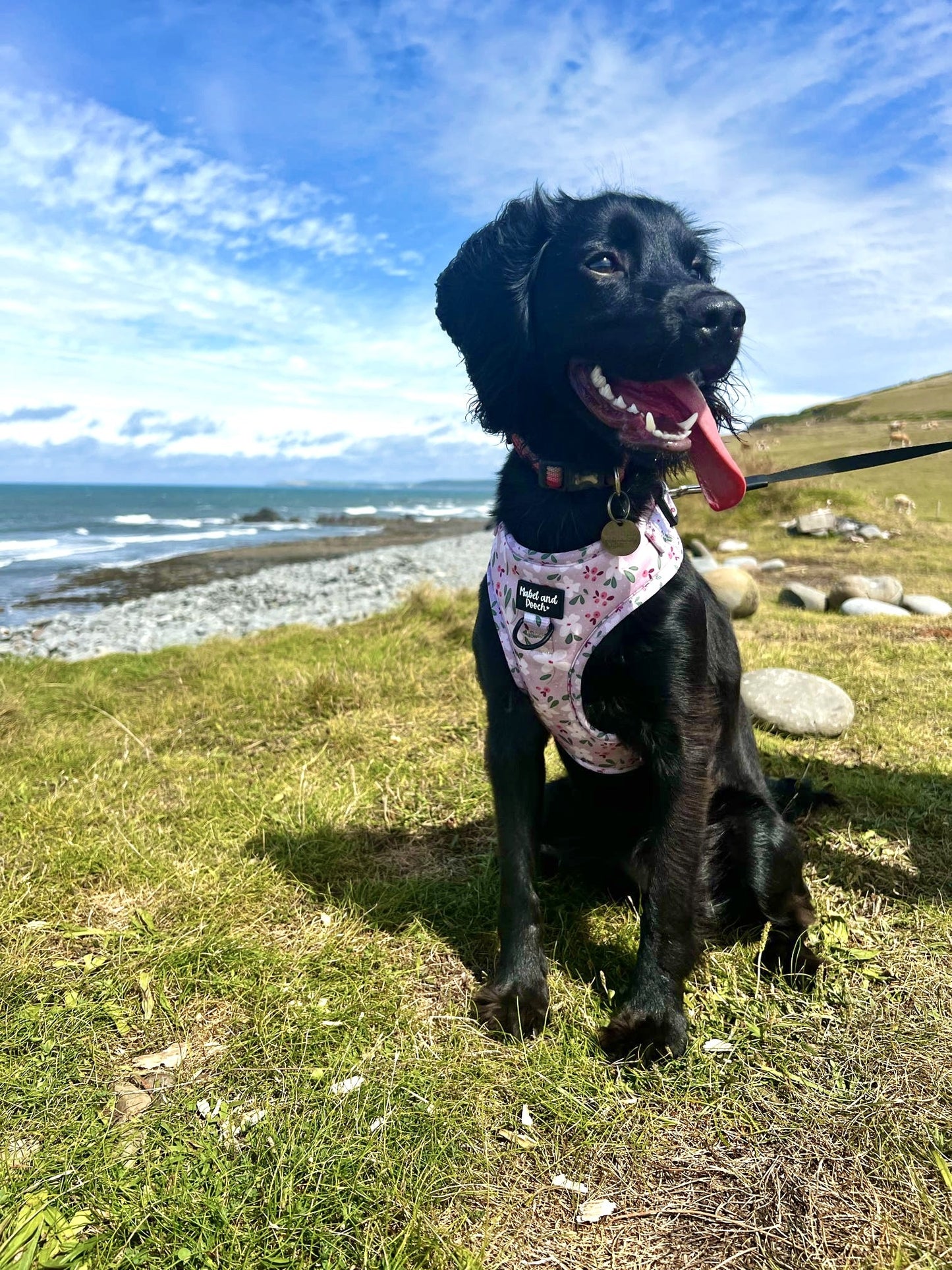 'Mabel's Meadow' Adjustable Harness