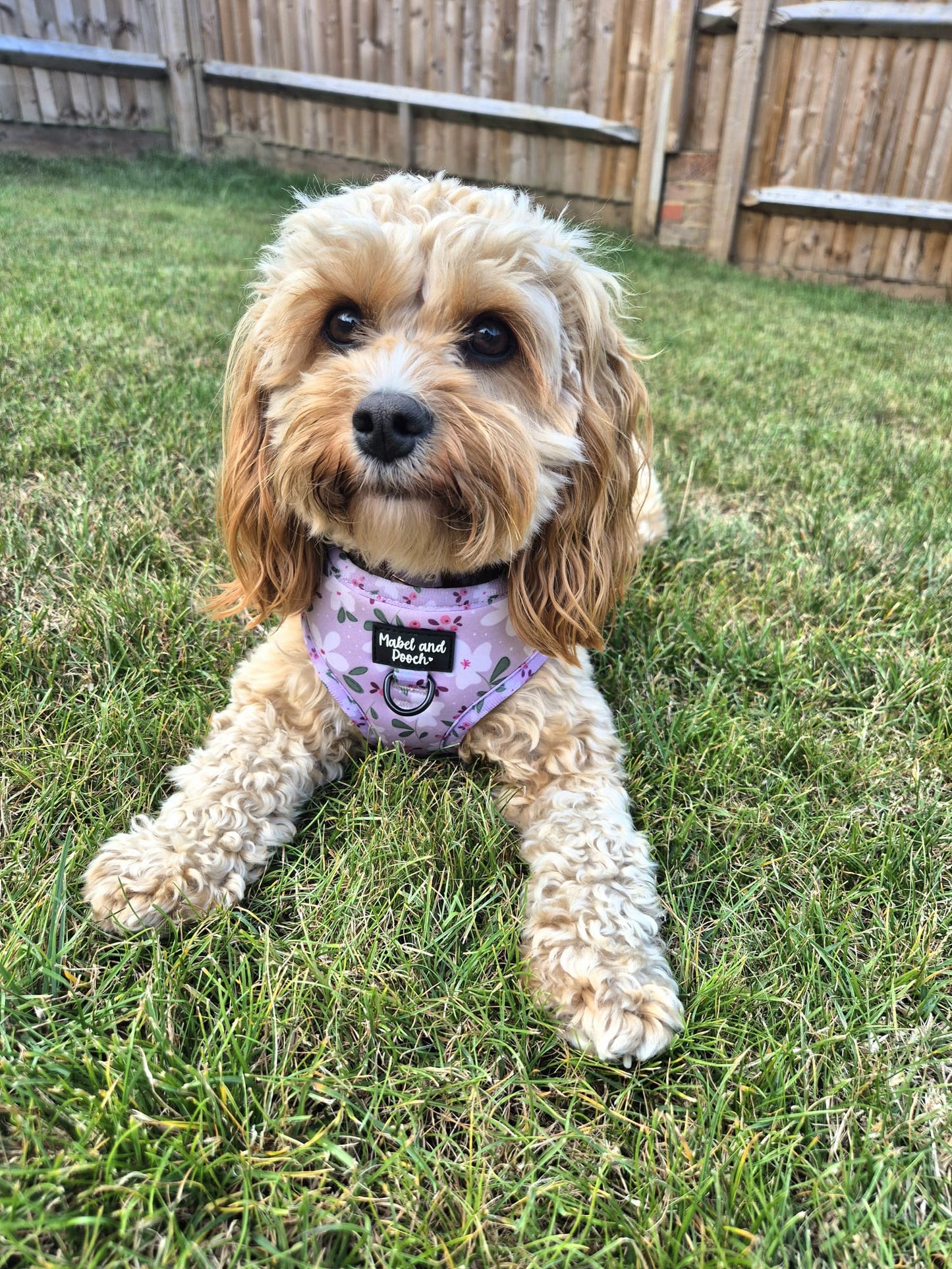 'Mabel's Meadow' Adjustable Harness